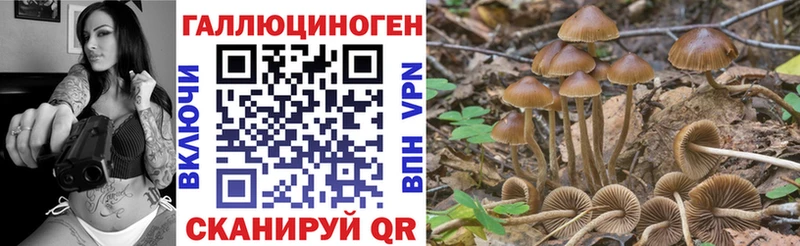 Купить закладки  Кушва  Галлюциногенные грибы Magic Shrooms 